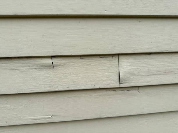 Best Aluminum Siding Installation  in Latta, SC